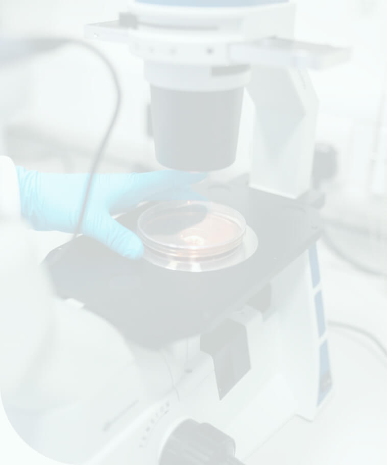 diagnostic-lab-hero-bg SSD chemical lab
ssd chemical lab
ssd chemical laboratory ltd
ssd chemical laboratory
ssd liquid chemical
ssd laboratory
ssd solution laboratory
ssd chemical solution
ssd chemical solution price
labsmoni ssd solutions chemical laboratory
ssd chemical solution online
websites for ssd chemical solution
buy ssd chemical solution
ssd automatic solution chemical
buy ssd automatic chemical